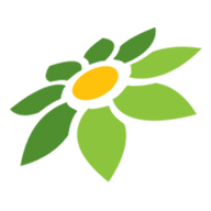 MOD APK WINK
